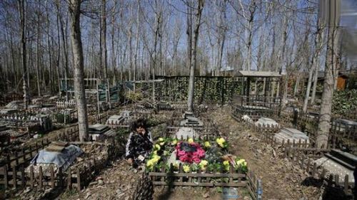 عکس های خیلی دیدنی از قبرستان زیبای حیوانات !