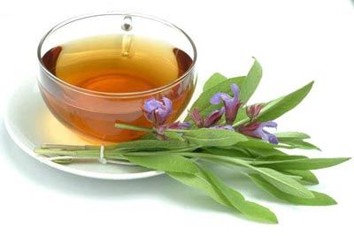 دمنوش هایی برای لاغر شدن شکم