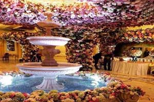 عکس های پرهزینه ترین عروسی سعید و خدیجه در تاریخ عکس های پرهزینه ترین عروسی سعید و خدیجه در تاریخ