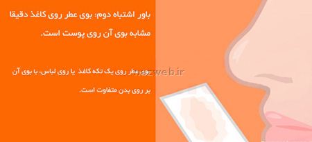 راهنمای تصویری و باورهای اشتباه درباره عطر و ادکلن