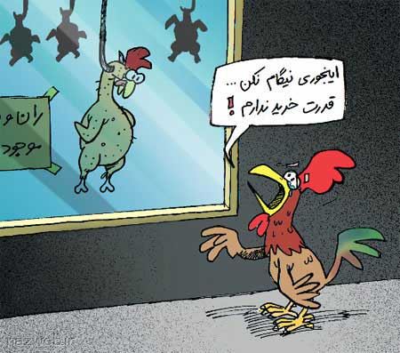 عکس های خنده دار و دیدنی با موضوعات بی ادبی