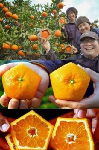 عکس های بسیار خنده دار و جالب انگیز