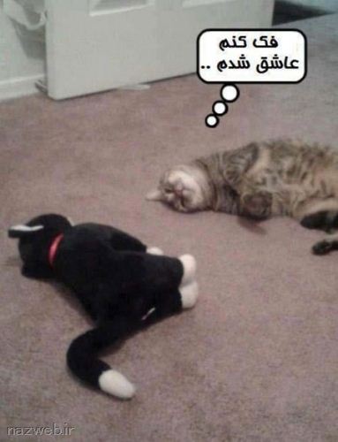 عکس های خیلی خنده دار و طنز (27)