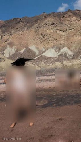 عکس های جنجالی شنای مختلط زنان و مردان برهنه در ایران