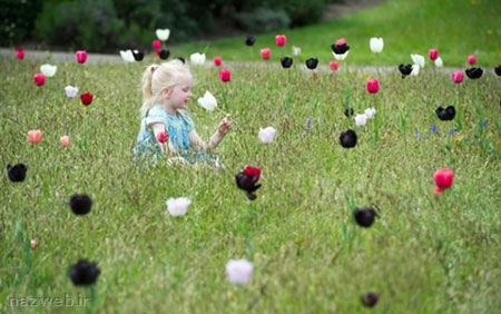 عکس های داغ و دیدنی روز (94)