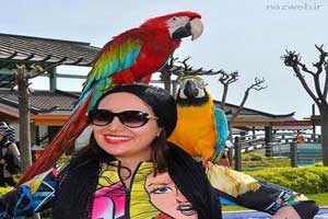 عکس های داغ و دیدنی بازیگران (26) عکس های داغ و دیدنی بازیگران (26)