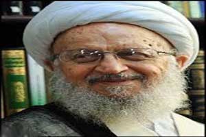 بیانه ای جنجالی مکارم شیرازی درباره حج امسال