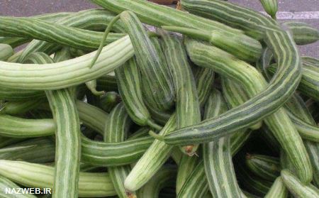 دنیای عکس های خنده دار خیارهای گمنام