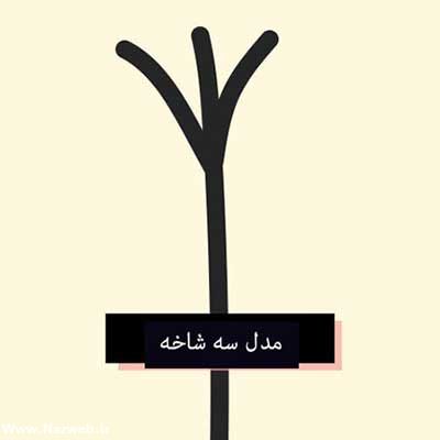 موخوره چیست + درمان و تصاویر موخوره