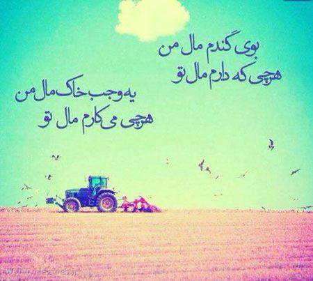 عکس نوشته های خواندنی و الهام بخش (24)