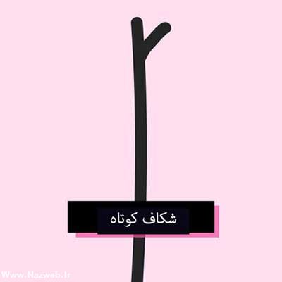 موخوره چیست + درمان و تصاویر موخوره