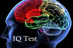 آموزش بالا بردن IQ و باهوش شدن آموزش بالا بردن IQ و باهوش شدن