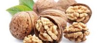 طرز تهیه مربای گردو