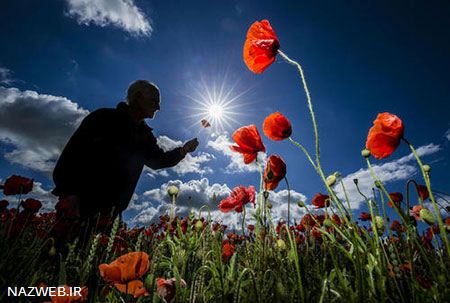 عکس های داغ و دیدنی روز (99)