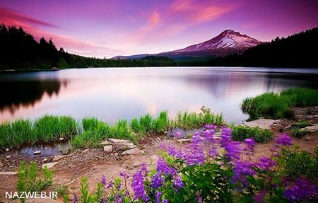 عکس های داغ و دیدنی روز (99)