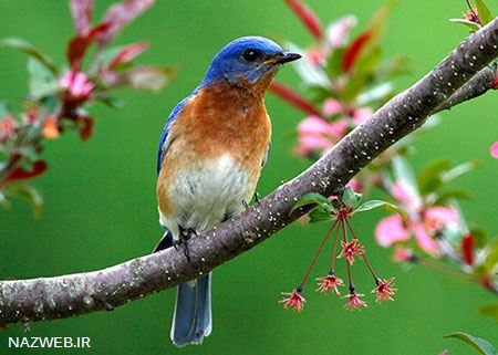 عکس های داغ و دیدنی روز (99)