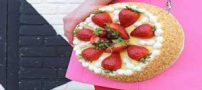 مدل کیف های جالب با نام غذا، مد و سرگرمی