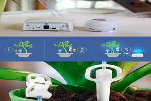 دستگاه حیرت آور برای شنیدن درد دل گیاهان ! دستگاه حیرت آور برای شنیدن درد دل گیاهان !