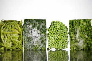 اشتباهات مهم در فریز کردن مواد غذایی