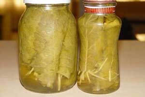 طرز تهیه ترشی برگ مو طرز تهیه ترشی برگ مو