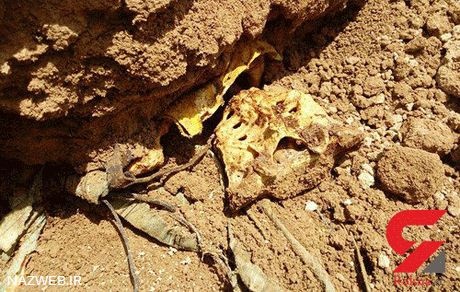 عکس های حیرت انگیز کشف گور خانوادگی در آبادان