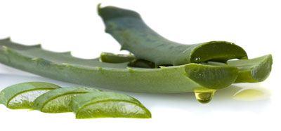داروی گیاهی برای زیبایی پوست در تابستان