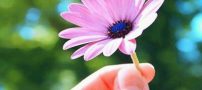 نوشته های عاشقانه و زیبای امروز
