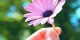 نوشته های عاشقانه و زیبای امروز