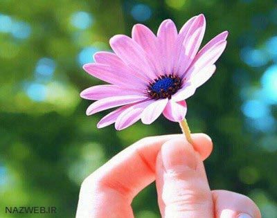 نوشته های عاشقانه و زیبای امروز نوشته های عاشقانه و زیبای امروز