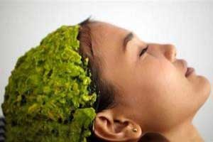 شنبلیله گیاه بسیار مفید برای رشد مو با دستور مصرف شنبلیله گیاه بسیار مفید برای رشد مو با دستور مصرف