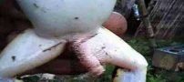 قورباغه ای با آلت تناسلی مردانه چشم دنیا را در آورد! عکس