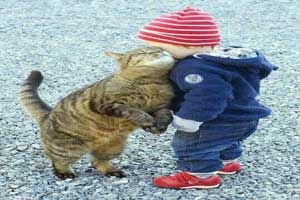 عکس های خنده دار و سوژه های طنز 2017 عکس های خنده دار و سوژه های طنز 2017