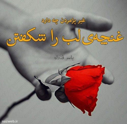 عکس و دل نوشته های عاشقانه و رمانتیک
