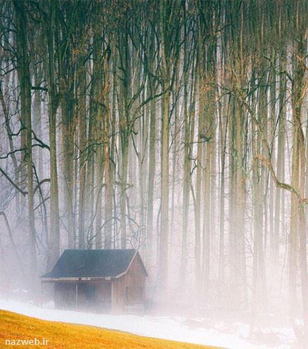 عکس های دیدنی و رویایی مدل کلبه های جنگلی