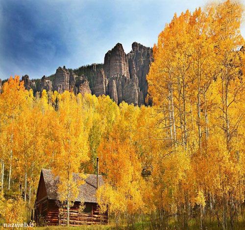 عکس های دیدنی و رویایی مدل کلبه های جنگلی