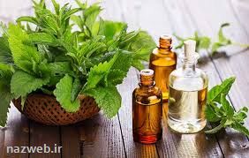مضرات و خواص نعناع را بدانید