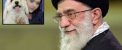 ماجرای روبرو شدن رهبری با دختری که سگ داشت