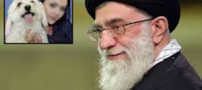 ماجرای روبرو شدن رهبری با دختری که سگ داشت