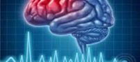 زندگی در سال 2030 با هوش مصنوعی !