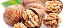 فواید گردو در دوران حاملگی