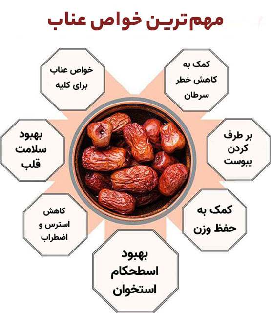 آموزش و نگهداری درخت عناب