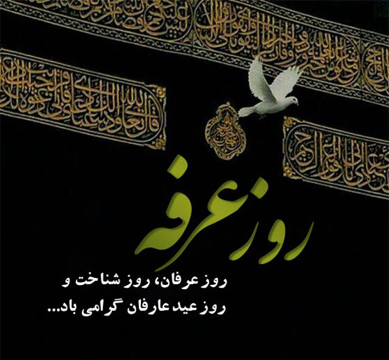 روز عرفه | زیباترین متن‌های ادبی و فضائل معنوی و عرفانی