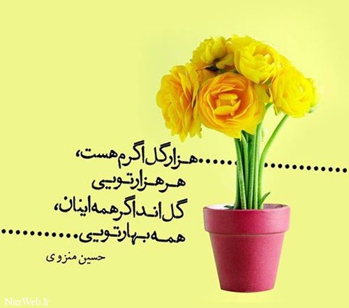 زیباترین عکس نوشته های عاشقانه (29)