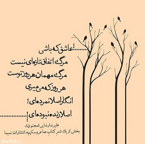 زیباترین عکس نوشته های عاشقانه (29)