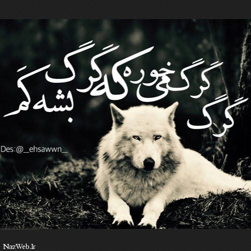 زیباترین عکس نوشته های عاشقانه (29)