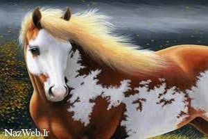 تعبیر خواب اسب تعبیر خواب اسب