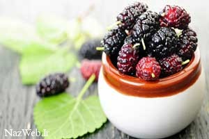 تعبیر خواب شاه توت