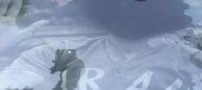 حرکت غیرانسانی بر سنگ مزار پیشکسوتان فوتبال ایران/ تصاویر