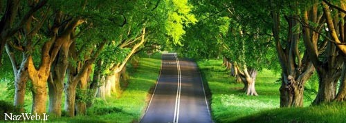 بهشت و دوزخ کجای جهان هستی قرار دارد