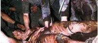آیا جهنم همین دره است؟ بررسی ریشه واقعی جهنم با تصاویر